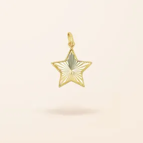 10K Gold Fluted Star Charm