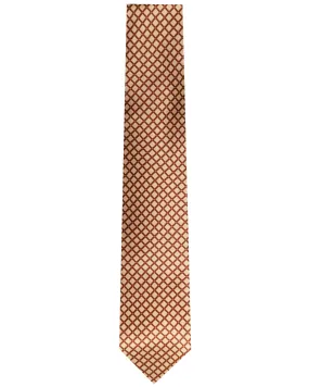 Brown and Gold Geo Box Silk 11 Fold Tie