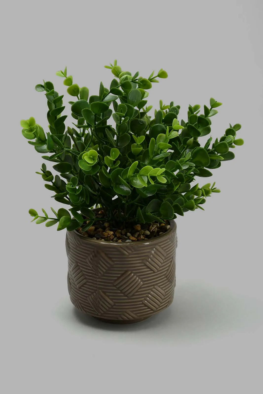 Brown Artificial Plant in Ceramic Pot with Stand (2 Piece)