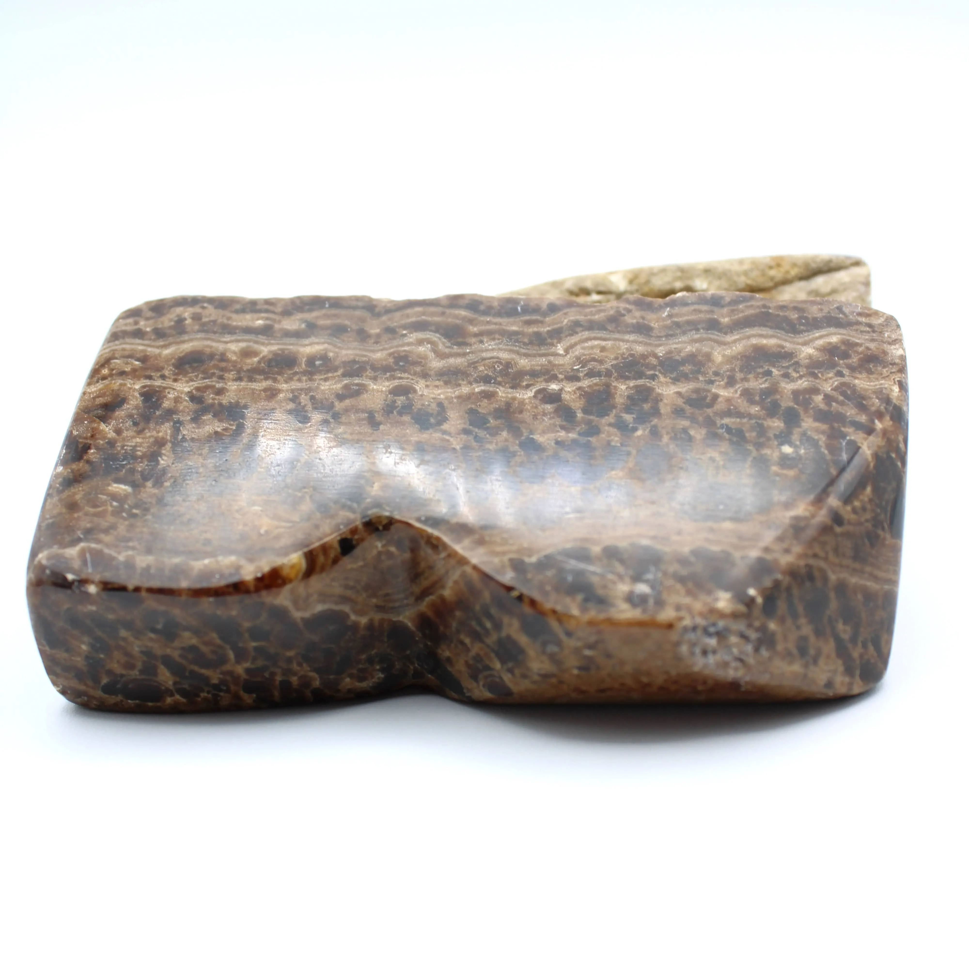 Brown Onyx Free-Form