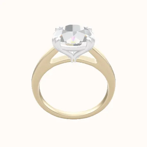 Cathedral Engagement Ring With Double Prongs Head