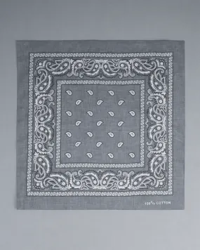 Grey Paisley