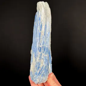 Large Blue Kyanite