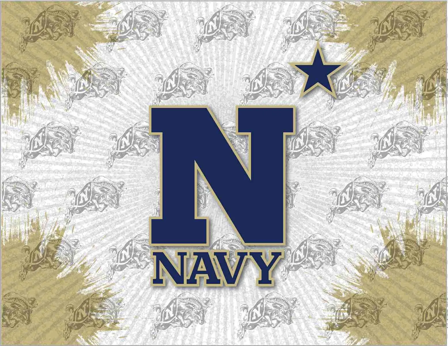 Navy Midshipmen HBS Navy Star Wall Canvas Art Picture Print