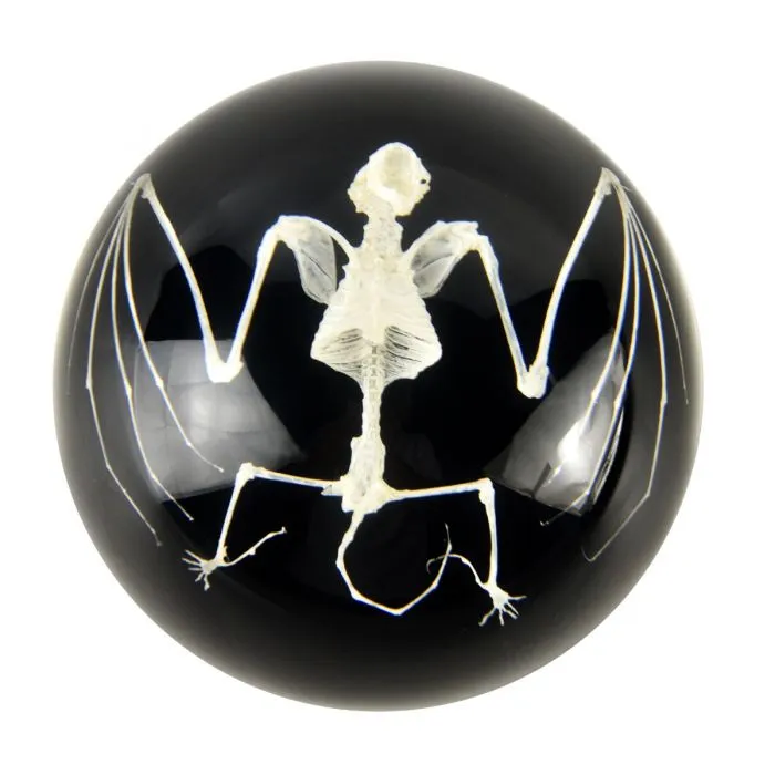 Paperweight-Bat Skeleton Black