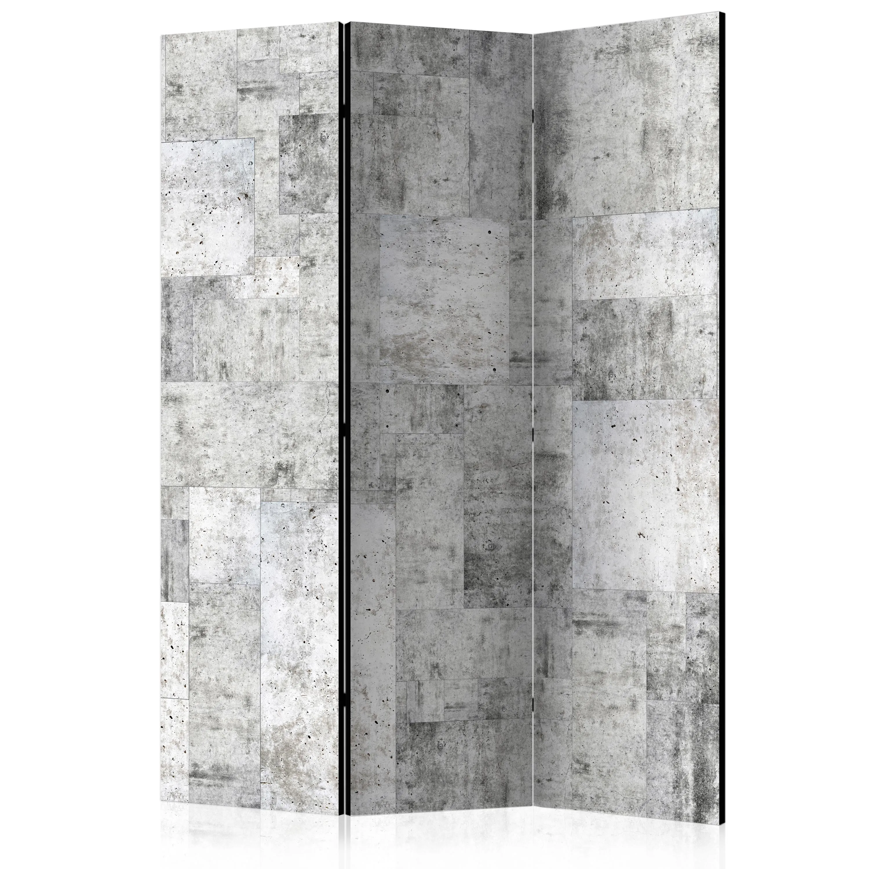 Paravento Concrete: Grey City [Room Dividers]