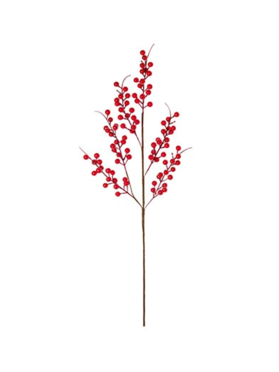 Red Berries Stem