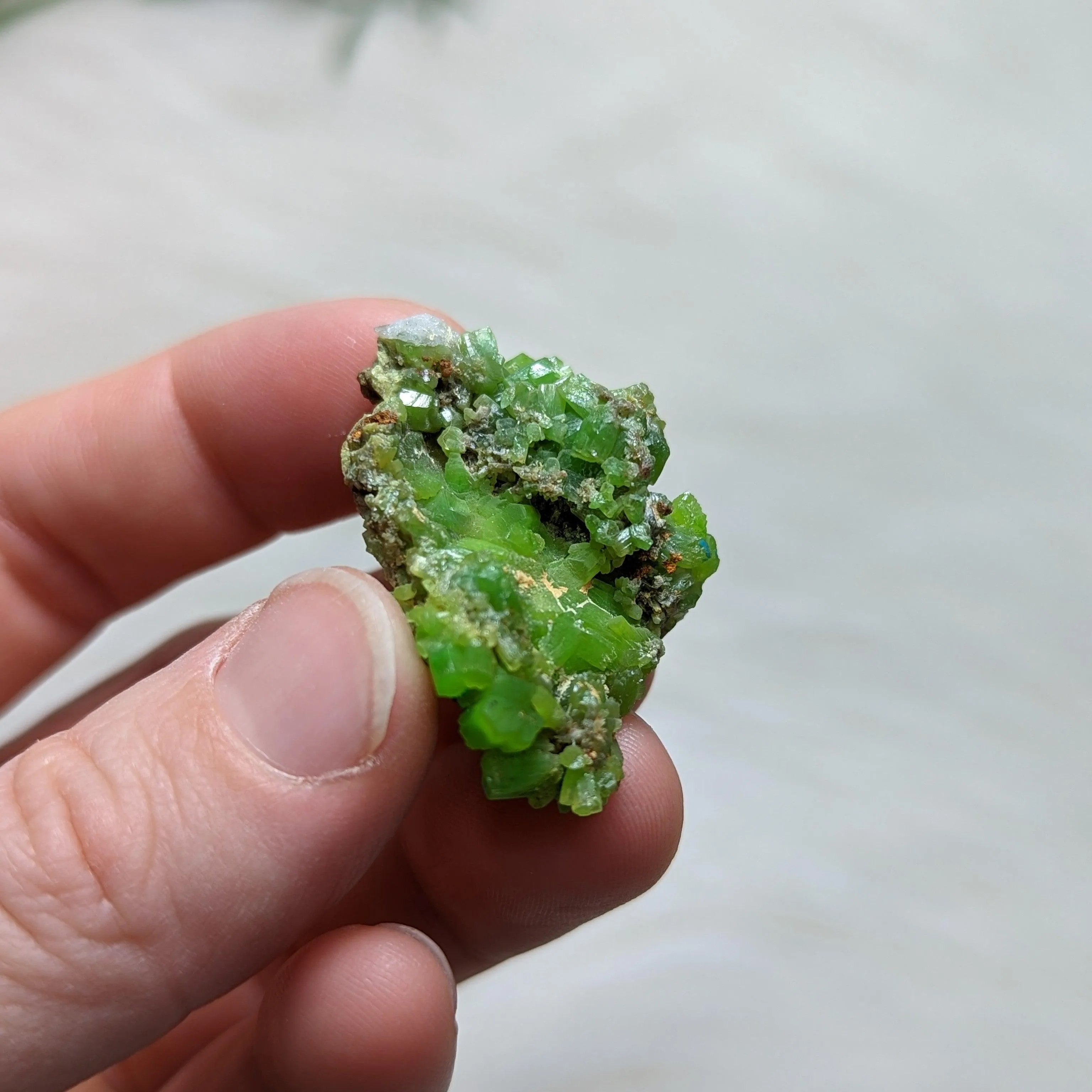 Vibrant Green Pyromorphite Specimen