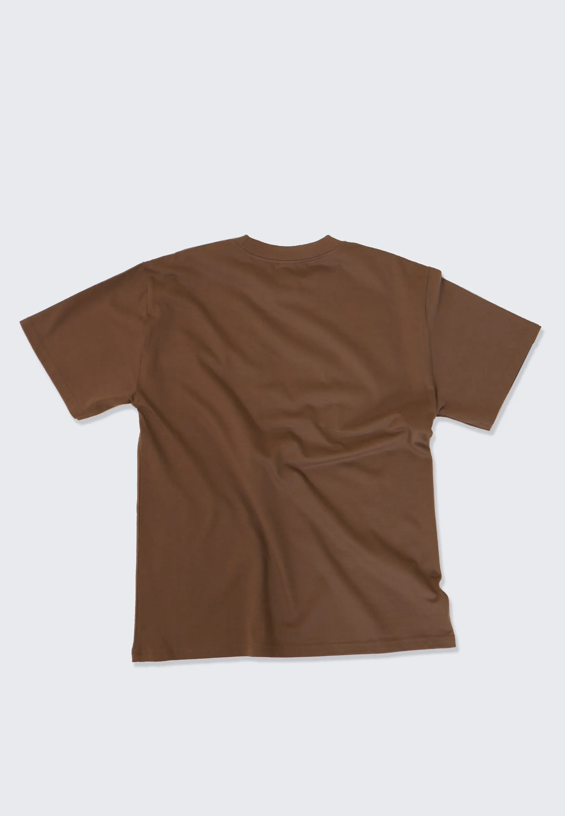 Visitor Heavy Top - Brown